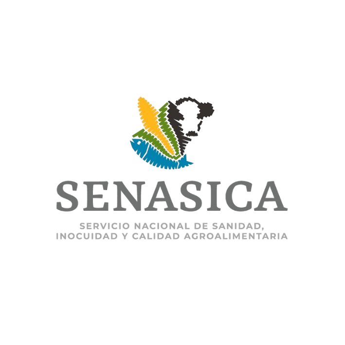 Logo 2