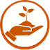 Cuidamos la plantación